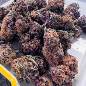 28 GRAM PLATINUM PURPLE KUSH WEED - QUEEN of CANABIS, TOP 1 QUALITY GROW INDOOR